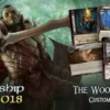 Fantasy Flight Games The Lord Of The Rings LCG: The Woodland Realm Custom Scenario Kit